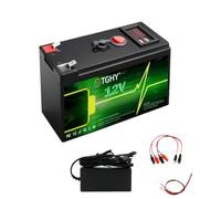 TGHY Batterie au Lithium de Secours 12 V | Carte BMS intégrée, boîtier résistant à l'eau, pour alimentation de secours, avec chargeur