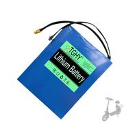 TGHY Batterie au Lithium Rechargeable 36 V 8 Ah pour Scooter électrique et Hoverboard (Remplacement de Batterie).