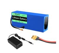 TGHY Batterie de Rechange pour vélo électrique 48 V 12 Ah 15 Ah 20 Ah 25 Ah 30 Ah, Batterie de Secours Li-ION Amovible avec Chargeur pour Moteur de Tricycle cyclomoteur 0-1 500 W,48v25ah