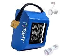 TGHY Batterie de Remplacement au Lithium 24 V pour Trottinette électrique, Batterie 25,2 V 4 Ah pour hoverboards et Skateboards électriques de 100 W ou Moins.