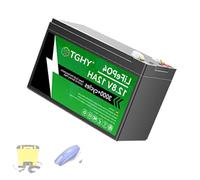 TGHY Batterie LiFePO4 12 V 6 Ah, 12 Ah, 18 Ah, 24 Ah, 30 Ah - Batterie au Lithium 12 Volts pour Camping-Car, Caravane, Bateau, Barre Lumineuse LED, Camping, sondeur de pêche,12v 12ah