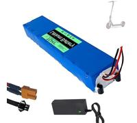 TGHY Batterie Lithium-ION 36 V pour Scooter électrique, 6,6 Ah, 7,8 Ah ou 9 Ah, avec Chargeur 42 V pour Moteur de véhicule équilibré de 0 à 324 W.,36v 7.8ah,XT30+SM