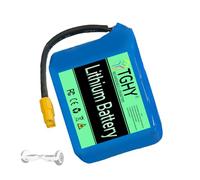 TGHY Batterie Lithium pour Scooter électrique 24 V 2 Ah 4 Ah 4,4 Ah, Batterie équilibrée pour véhicule 29,4 V, Batteries de Remplacement avec Carte BMS intégrée,24v 4ah