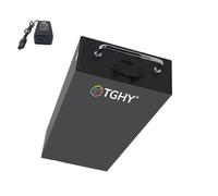 TGHY Batterie pour Moto électrique 60 V 10 Ah 12 Ah 15 Ah 18 Ah 20 Ah, Batterie Lithium Haute capacité Portable 60 V avec Chargeur pour Voiture électrique à Gros pneus/pneus Larges,60v20ah