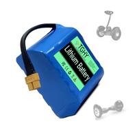 TGHY Batteries de Remplacement au Lithium Rechargeables 24 V pour Scooters électriques et hoverboards (25,2 V, 4 Ah et 6 Ah).,24v 25.2v 6ah