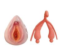 TGPSMDXKV Modèle de Mannequin gynécologique féminin, 2 pièces Modèle combiné vulve/Clitoris pour l'enseignement de l'anatomie du système reproducteur