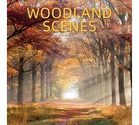 TGSC | Calendrier 2026 motif scènes de forêt - 16 mois - Mur familial carré 2026 UK - Planificateur avec grande grille pour l'organisation de la maison ou du bureau - Monde naturel 2026/2025 UK