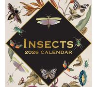 TGSC | Calendrier mural 2026 familial 2026 avec grande grille pour l'organisation de la maison ou du bureau - Calendrier mural 2026/2025 - Motif insectes - 16 mois (septembre 2025 à décembre 2026)