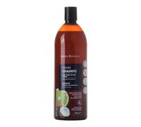 Thader Pharma Shampooing sans sulfates à l'huile de Soja et Coco, idéal pour tous types de cheveux, 1000 ml