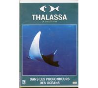 Thalassa - À Bord Du Charles De Gaulle, Confidences D'équipages