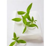 Thamani Verveine - Tisane Naturelle Sans Théine, Saveur Citronnée