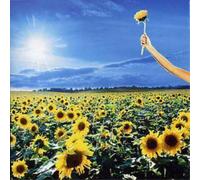 Thank You: The Best Of (CD) Album