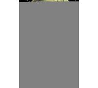 Thanos l'entité de l'infini