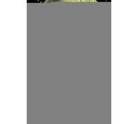 Thanos l'entité de l'infini - Jim Starlin - Panini Comics - cartonné - Comics