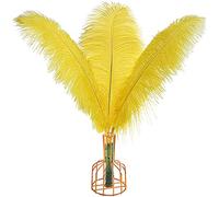 THARAHT 12 pièces jaune plumes d'autruche naturel en vrac 16-18 pouces 40cm - 45cm pour la partie de centre de mariage Pâques Gatsby & Home Decor plumes d'autruche