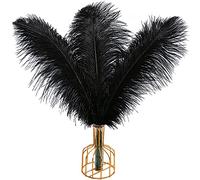 THARAHT 12 pièces Noir Plumes d'autruche Naturel en Vrac 16-18 Pouces 40cm - 45cm pour Partie de Mariage pièce Centrale Pâques Gatsby et décoration d'intérieur Plumes d'autruche