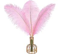 Tharaht 12 pièces plumes d'autruche Rose volume naturel 16-18 pouces 40cm - 45cm pour les pièces centrales de fête de mariage Pâques Gatsby et décoration d'intérieur plumes d'autruche