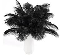 THARAHT 24 pièces noir plumes d'autruche volume naturel 10-12 pouces 25cm - 30cm pour les pièces centrales de fête de mariage Pâques Gatsby & Home Decor plumes d'autruche