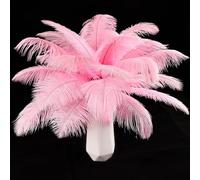 THARAHT 24 pièces plumes d'autruche roses volume naturel 10-12 pouces 25cm - 30cm pour les pièces centrales de fête de mariage Pâques Gatsby et décoration d'intérieur plumes d'autruche