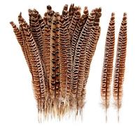 THARAHT 24pcs femelle collier plumes de queue de faisan plumes naturelles 12-14 pouces 30-35 cm pour l'artisanat Home Wedding Party show DIY décoration femelle plumes de faisan