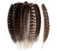 THARAHT 24pcs Natural Wild dinde Wings plumes en vrac 8-10 pouces 20-25 cm pour bricolage Craft Project série mariage décoration Wild dinde queue plumes