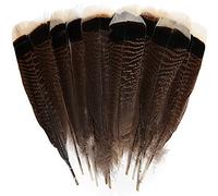THARAHT 24pcs Natural Wild Turkish tail plume Volume 10-12 pouces 25-30cm pour bricolage série d'articles d'artisanat décoration de mariage Wild Turkish tail plume