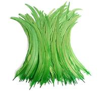 THARAHT 50PCS coq Coque queue plumes en vrac naturel 12-14Inch 30-35cm pour artisanat mariage mouche attacher plumes fête Performances DIY décoration coq queue plume, vert