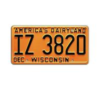 That ‘70s Show | IZ 3820 | Metal Stamped License Plate