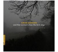 & That Moment When The Bird Sings
