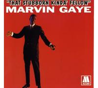 That Stubborn Kinda Fellow