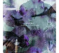 That the Days Go By and Never Come Again