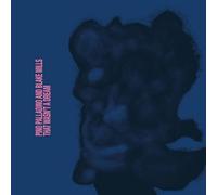 Pino Palladino & Blake Mills – That Wasn't a Dream – Vinyle 12"