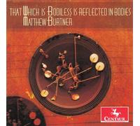 That Which Bodiless is Reflected in Bodies