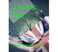 That's life: From Six Figures to Domino Pizza Delivery and Back