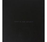 Bring Me the Horizon – That's the Spirit