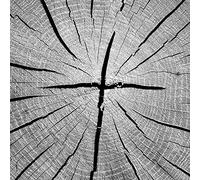 That's Why - That's Why Lp