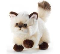 Peluche Chat Siamois 21 Cm