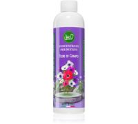 THD Unico Wild Flowers Parfum Concentré pour Machine à Laver 200 ml