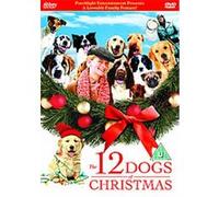 The 12 Dogs of Christmas – Abbey Camp – Import anglais