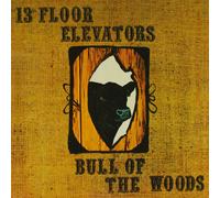 THE 13TH FLOOR ELEVATORS - BULL OF THE WOODS 2 CD NEUF