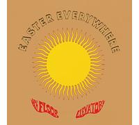 The 13th floor elevators - Easter Everywhere [Import]