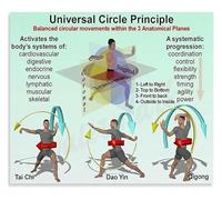 The 3 Anatomical Planes Poster Circular Movement Principles Educational Wall Art Chart for Personal Trainers and Students(Framed,08x12inch(20x30cm))