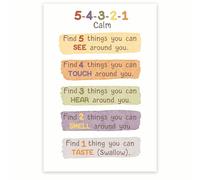 The 5-4-3-2-1 Rule for Coping Poster - Grounding Technique for Emotional Regulation, Educational Print for School, Dorm, Calm Corner(Unframed,16x24inch(40x60cm))
