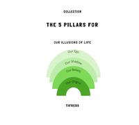 The 5 Pillars for "Our illusions of life": English version: "Nos illusions de vie": 4 guides in 1 "Our ego", "Our shadow", "Our beliefs", and "Our origins"