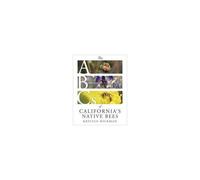 The Abcs Of California's Native Bees
