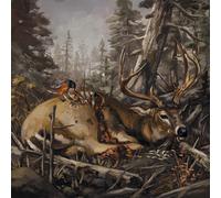 The Acacia Strain Failure Will Follow (Vinyl) 12" Album Coloured Vinyl