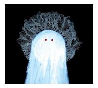 The Accidental - There Were Wolves