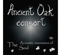 The Acoustic Resonance Of The Soul