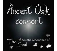 The Acoustic Resonance Of The Soul