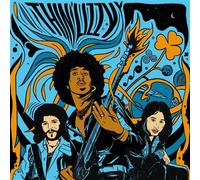 The Acoustic Sessions – Vinyle transparent «&nbsp;Crystal Clear&nbsp;» – Tirage limité – Island